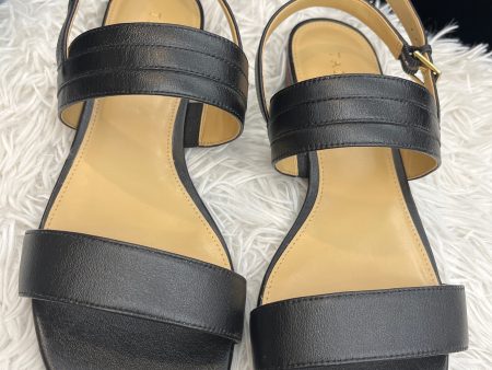 Black Sandals Flats Talbots, Size 10.5 Online