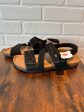 Black & Tan Sandals Flats Earth Origins, Size 9.5 For Discount