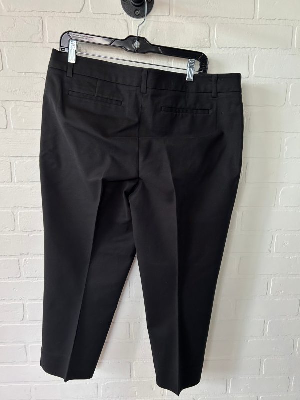 Black Pants Dress Hilary Radley, Size 14 For Sale