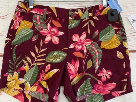 Maroon Shorts Old Navy, Size 4 Supply