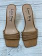 Beige Shoes Heels Kitten Clothes Mentor, Size 6 Fashion