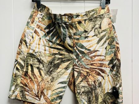 Brown & Green Shorts Chicos, Size 4 For Cheap