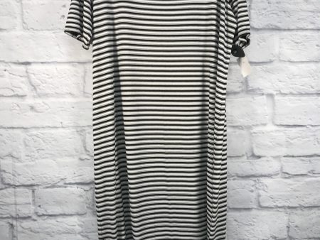 Black & White Dress Casual Midi Chicos, Size Xl Online now